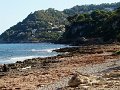 DSC06121