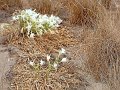 IMG 20260901 172038