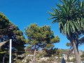 IMG 20260904 173325